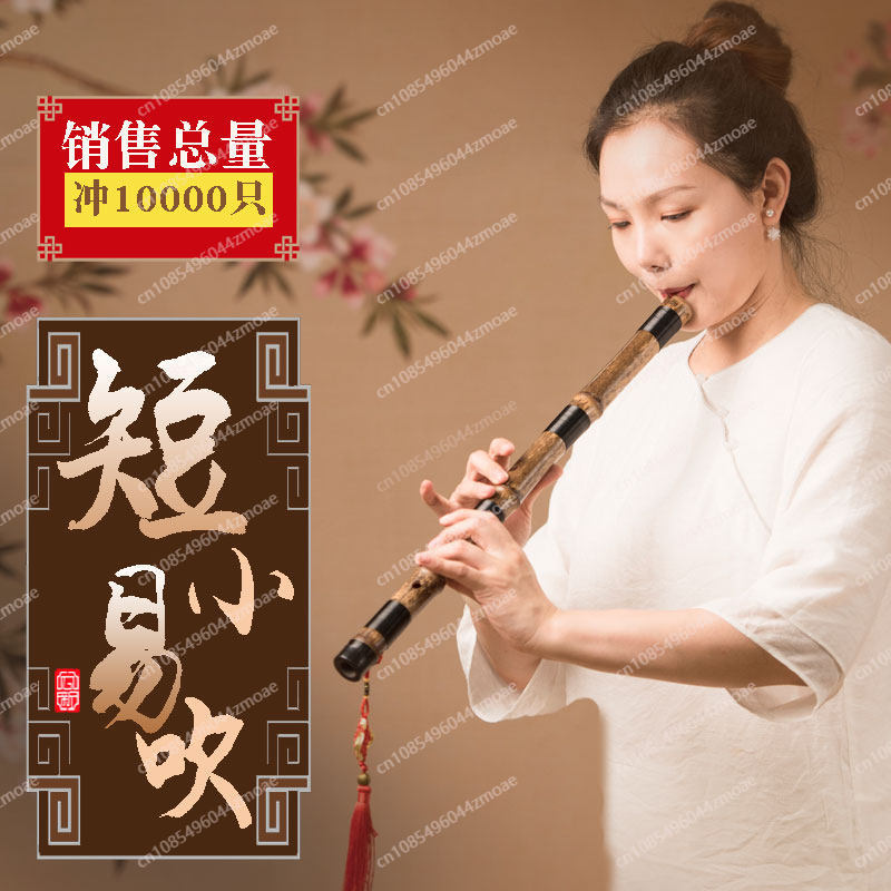 전문 연주용 홀 플루트 원대나무 짧은 샤오 플루트 악기 - Musical Instrument Xiao 리뷰 및 가격