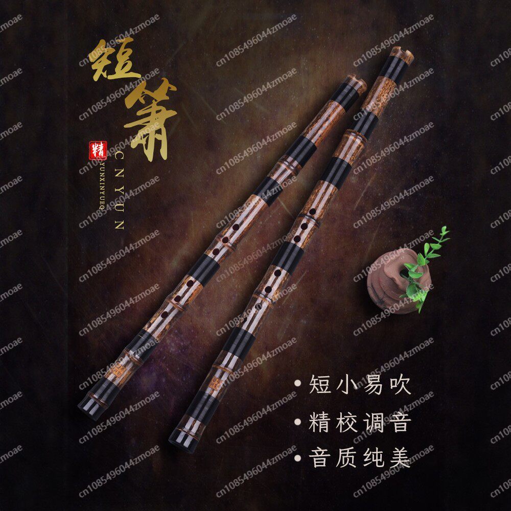 전문 연주용 홀 플루트 원대나무 짧은 샤오 플루트 악기 - Musical Instrument Xiao 리뷰 및 가격